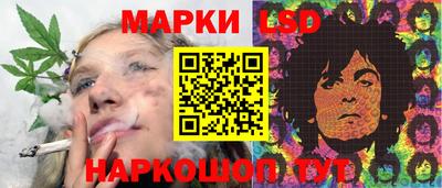 индика Вязьма